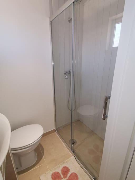 Casa Cadu - Apartment Porto
